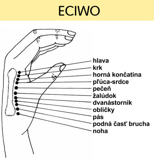Body na uchu